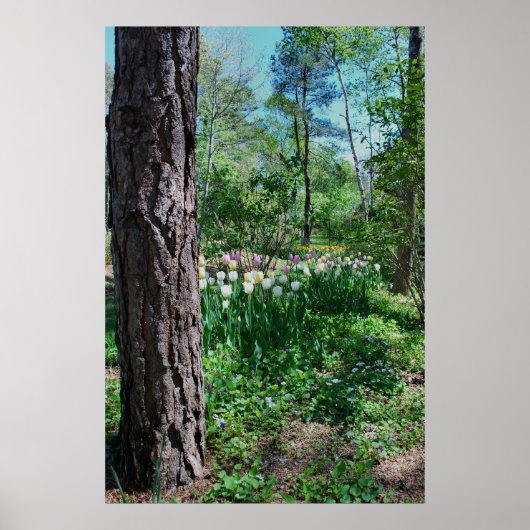 Floral Poster - 1 (Voorkant)