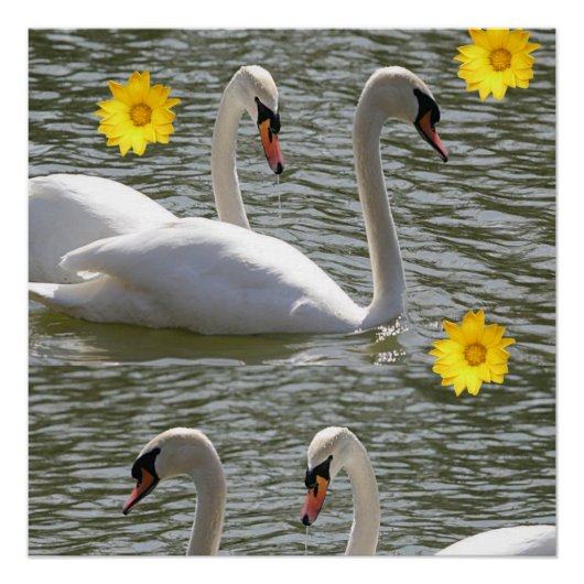 Floral Poster Swan Perfect Poster (Voorkant)