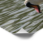 Floral Poster Swan Perfect Poster (Hoek)