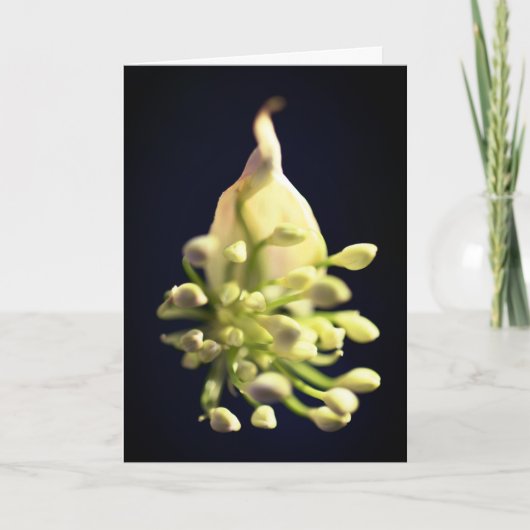 Floral print ingevuld Hartelijk dank Bedankkaart (Voorkant)