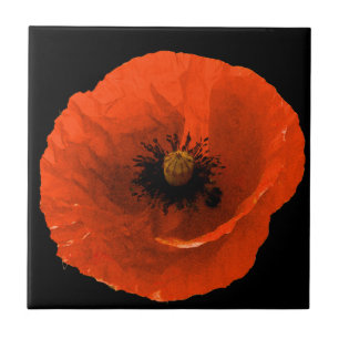 Floral Red Poppy Flower Black Aangepast kleurig ca Tegeltje