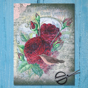 Floral Red Roses Finch Bird Ephemera Tissuepapier