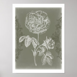 Floral Relief I Poster