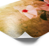 Floral Retro Image Kodak Professional Photo (Coin)