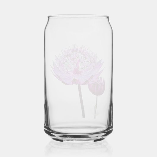 Floral rose Astrantia (Verso)