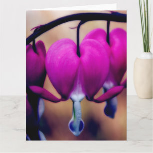 Floral Rose Bleeding Hearts Merci