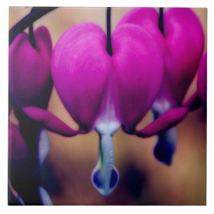 Floral roze bloeding hart tegeltje