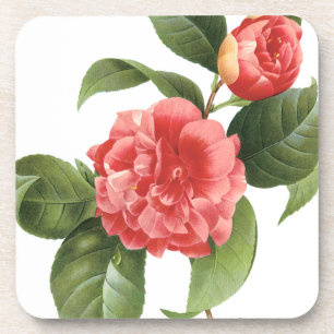 Floral, roze Camellia Flowers door Redoute Drankjes Onderzetter