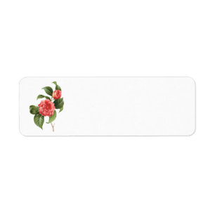  Floral, roze Camellia Flowers door Redoute Etiket