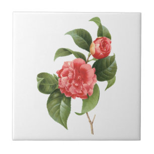  Floral, roze Camellia Flowers door Redoute Tegeltje