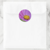 Floral Sticker (Tas)