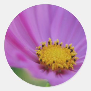 Floral Sticker