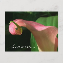 Floral Summer Solstice Party Uitnodiging Briefkaart