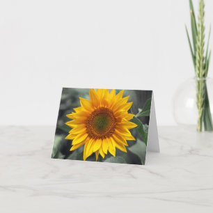 Floral Sunflower Yellow Flowers - Liefde, Hallo, e Kaart