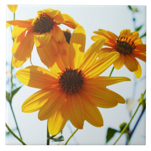floral tegeltje (Voorkant)