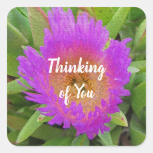 Floral Thinking of You  Paars Beach Flower Vierkante Sticker