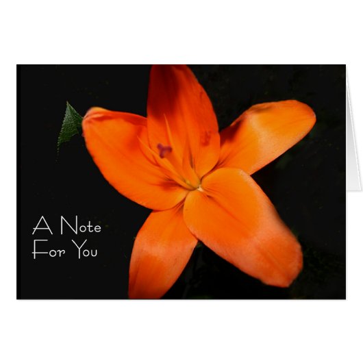 Floral Tiger Lily "Une note pour vous" (Devant Horizontal)