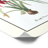  Floral Triptych Botanische Kunstafdrukken Poster (Hoek)