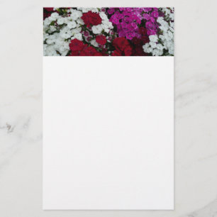 Floral van witte, roze en rode dianthus briefpapier