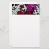 Floral van witte, roze en rode dianthus briefpapier (Voorkant / Achterkant)