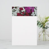 Floral van witte, roze en rode dianthus briefpapier (Staand voorkant)