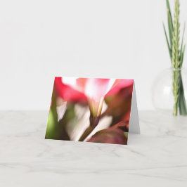 Floral vouwde je creditcard toe bedankkaart