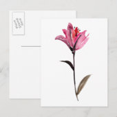 Floral Waterverf II Briefkaart (Voorkant / Achterkant)