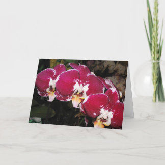 Floral Wenskaart Kaart