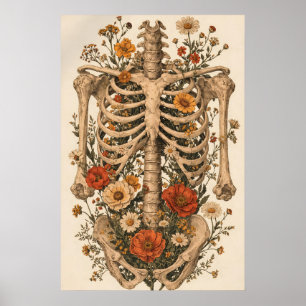 Florale anatomie skeletposter, vintage botanisch poster