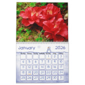 Florale fotografie - Azoren Kalender (Jan 2026)