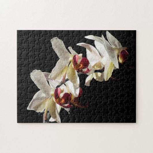 Florale hoogtepunten van witte phalaenopsis Orchid Legpuzzel (Horizontaal)