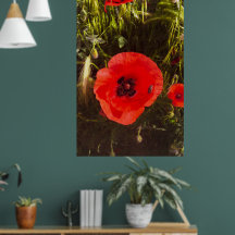 Florale Papaver Dromer – Botanische Fantasie Kunst