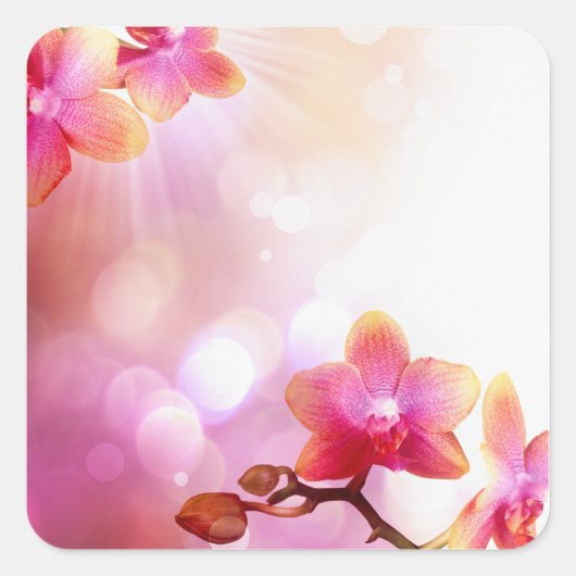 florale sticker (Voorkant)