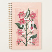 Florales de jardin rose vif 2025 (Devant)