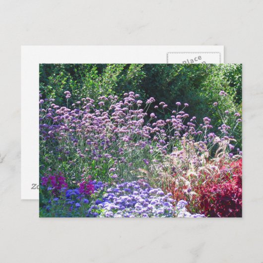 Florals in het Briefkaart van de Engelse tuin (Voorkant / Achterkant)