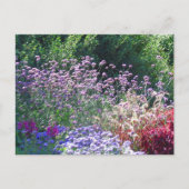 Florals in het Briefkaart van de Engelse tuin (Voorkant)