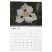 flore calendrier 18 mois (Jan 2026)