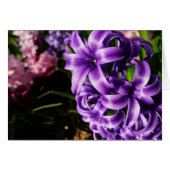 Flore de printemps Blue Hyacinth II (Devant horizontal)