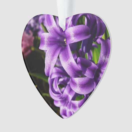 Flore de printemps Blue Hyacinth II (devant)