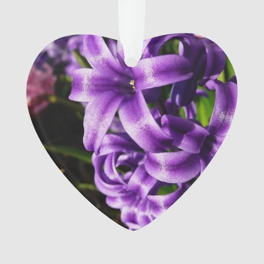 Flore de printemps Blue Hyacinth II (devant)