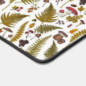 Flore et faune boisées 2 (Coin)