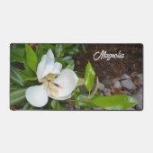 Flore photographique en fleurs de Magnolia blanc (Recto)