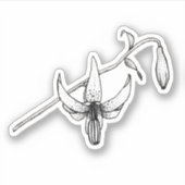 Flore printanière | Columbia Lily | Autocollant bo (Devant)