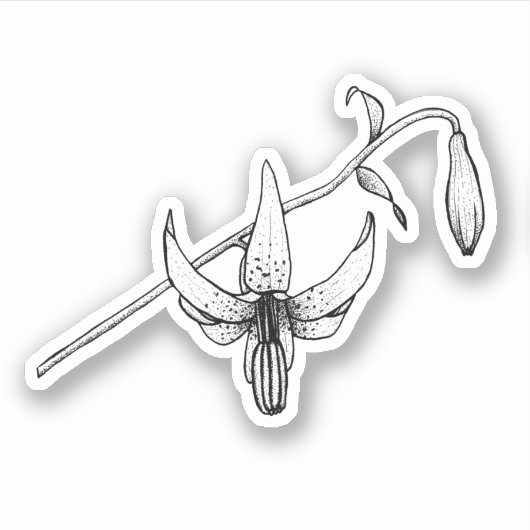 Flore printanière | Columbia Lily | Autocollant bo (Devant)