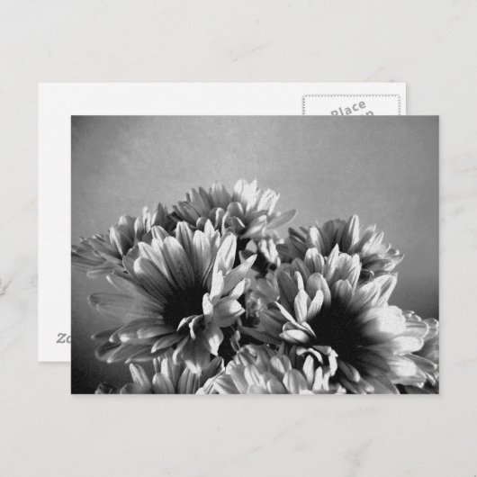 Floreal zwart-wit Briefkaart (Voorkant / Achterkant)