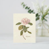  floreel briefkaart roze azalea botanisch (Staand voorkant)