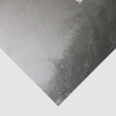 Florence, Beer van zonnebloempitten Tissuepapier (Detail)