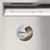 Florence Magnet (In Situ (Lave-vaisselle))