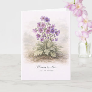 Florens tardiva De Late Bloeier Botanisch Kaart