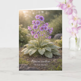 Florens tardiva The Late Bloomer Botanical Kaart